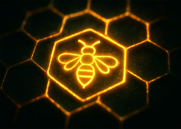 دوره آموزشی پرورش زنبور عسل | حضوری